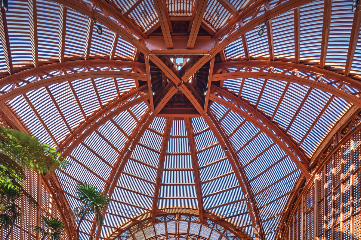 A dome structure with light filtering in and plants beneath.