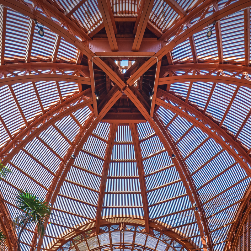 A dome structure with light filtering in and plants beneath.