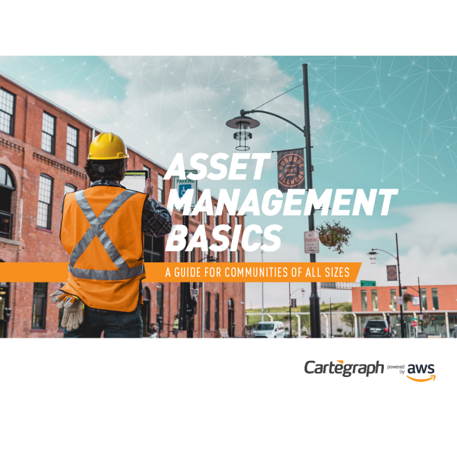 a cover image of Asset Management Basics