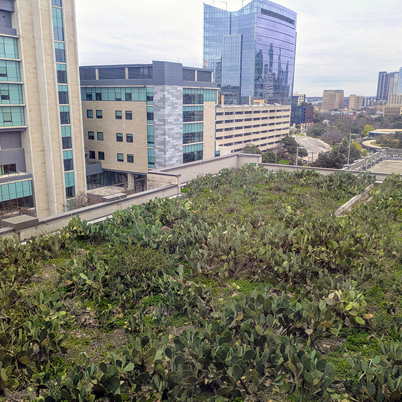 Green Infrastructure A field of green plants sits atop a skyscraper in a city's downtown.